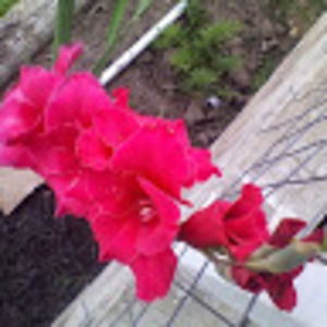 Meet your Posher, Cara